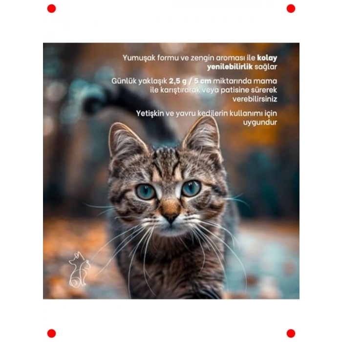 Kedi Bağışıklık Güçlendirici Malt Takviyesi 100 ml