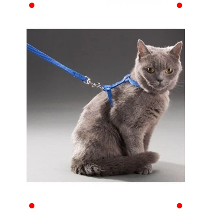 Kedi Göğüs Tasması: Ayarlanabilir, Konforlu, 110 cm