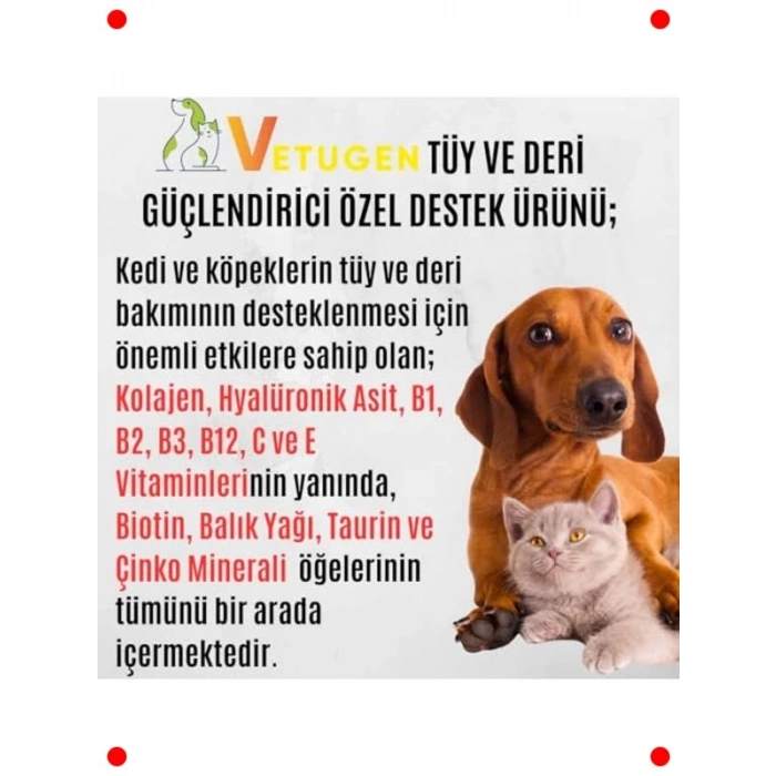 Kedi & Köpek Tüy ve Deri Sağlığı Destekleyici