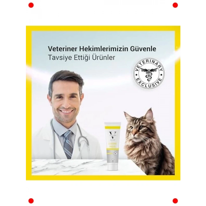 Kedi L-Lizin Bağışıklık Destekleyici Pasta - 100 gr