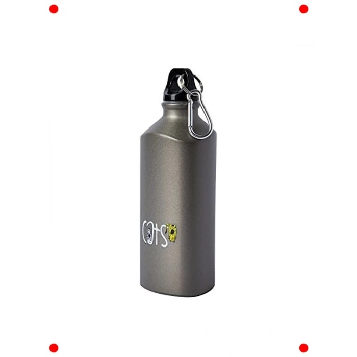 Kedi Motifli 600 ML Alüminyum Matara
