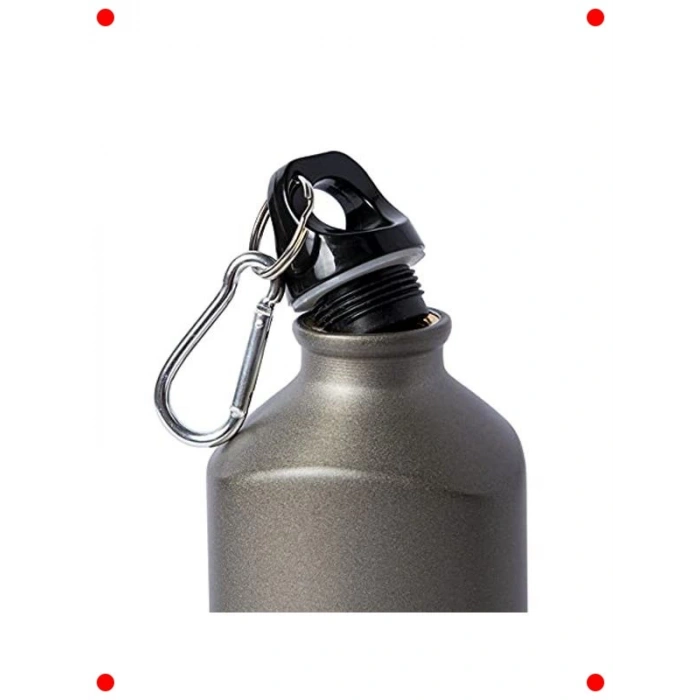 Kedi Motifli 600 ML Alüminyum Matara