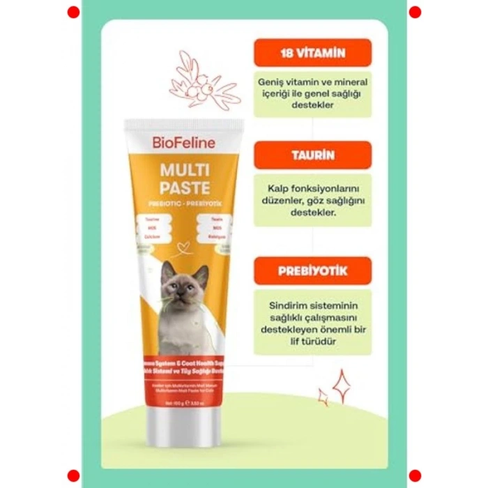 Kedi Multivitamin Macun 100g