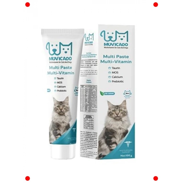 Kedi Multivitamin Malt Macunu