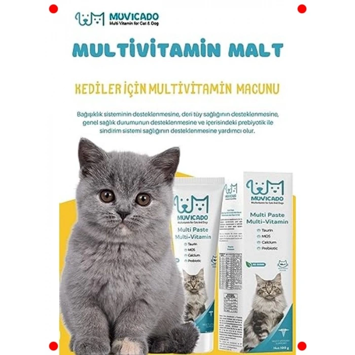 Kedi Multivitamin Malt Macunu