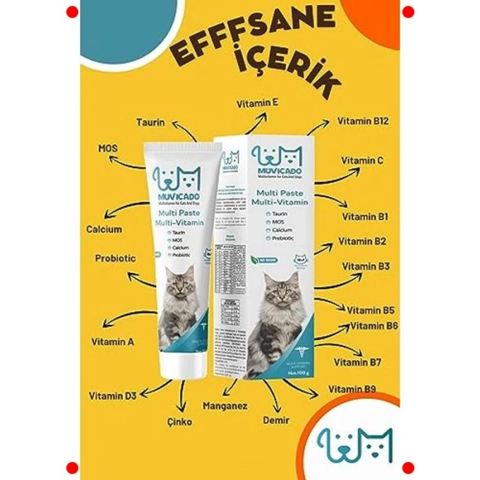 Kedi Multivitamin Malt Macunu