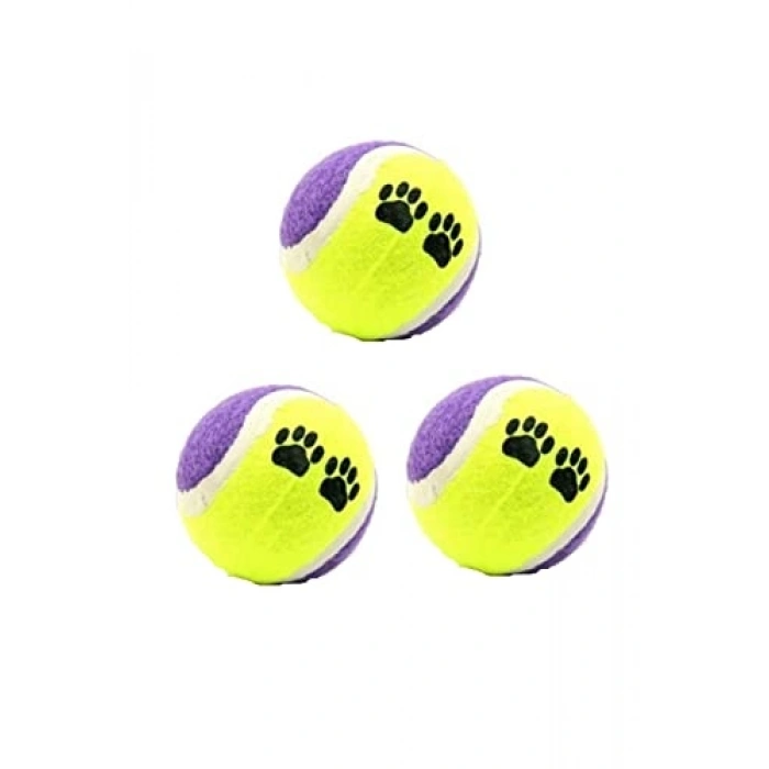 Kedi ve Köpek Eğitim Topu, 3 Lü Set