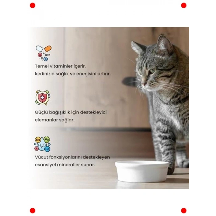 Kediler İçin Multivitamin Macun 100 G