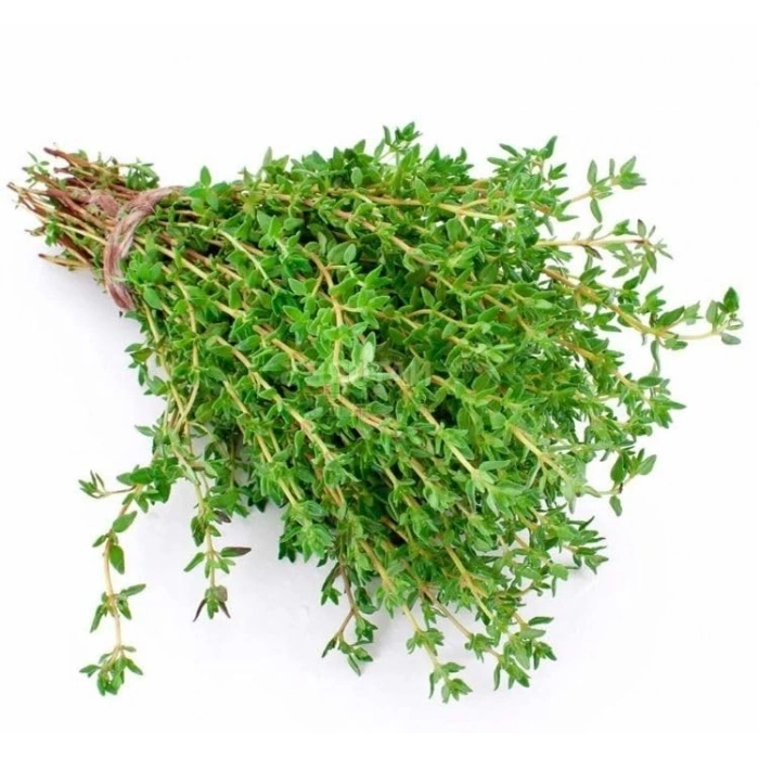 Kekik Tohumu - 3 Gram