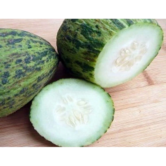 Kelek Hıdır Tohumu - Aksel 10 gr