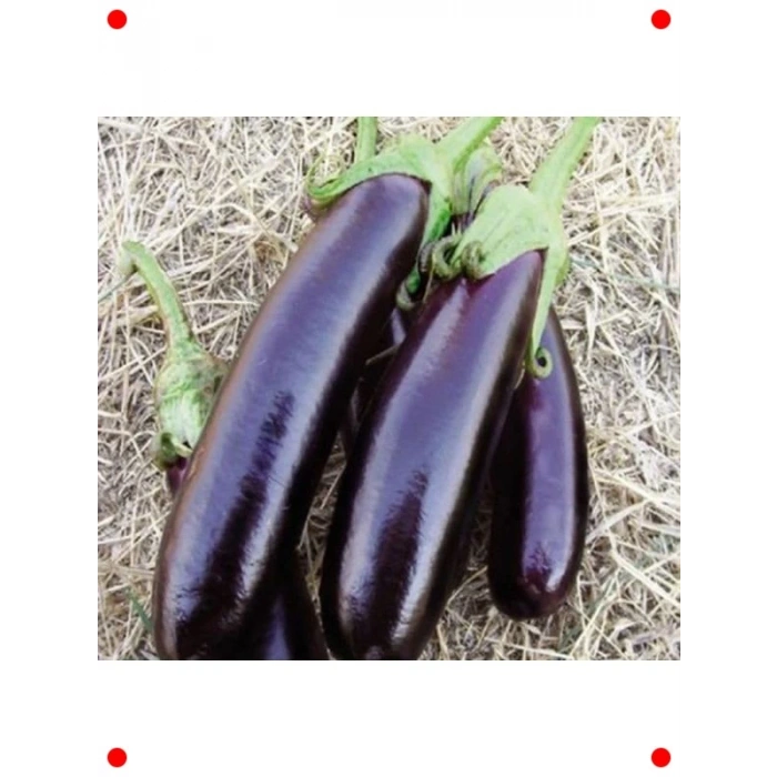 Kemer Patlıcan Tohumu (5 gr) - Bereketli Hasat