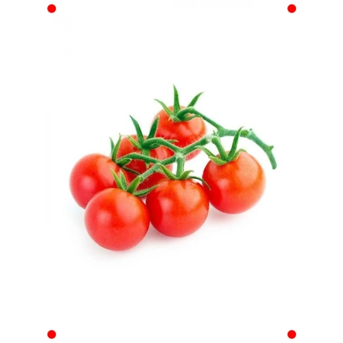 Kiraz Domates Tohumu - Bahçenizde Mini Lezzetler