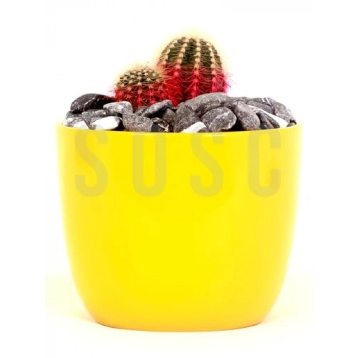 Kırçılı Çakıl Taşı, 1-2 cm, Bahçe ve Akvaryum Süsü