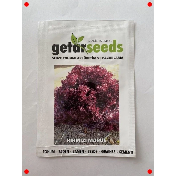 Kırmızı Kıvırcık Marul Tohumu (Çoklu Paket, 5 Gram)