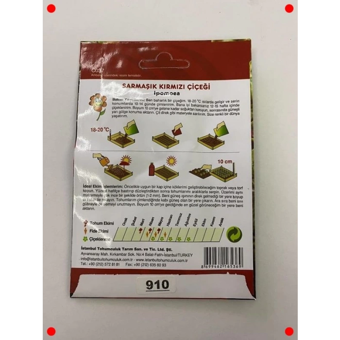 Kırmızı Sarmaşık Tohumu - 50 Adet