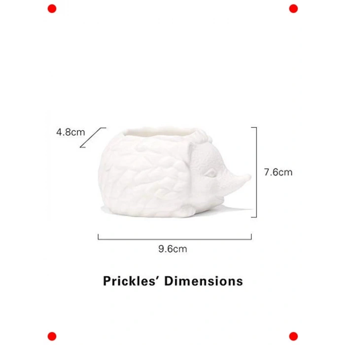 Kirpi Tasarımlı Seramik Sukulent Saksısı, Mini