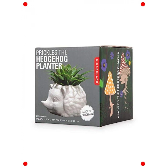 Kirpi Tasarımlı Seramik Sukulent Saksısı, Mini