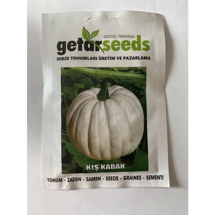 Kış kabak tohumları, 10 gram, dayanıklı ve lezzetli sebze