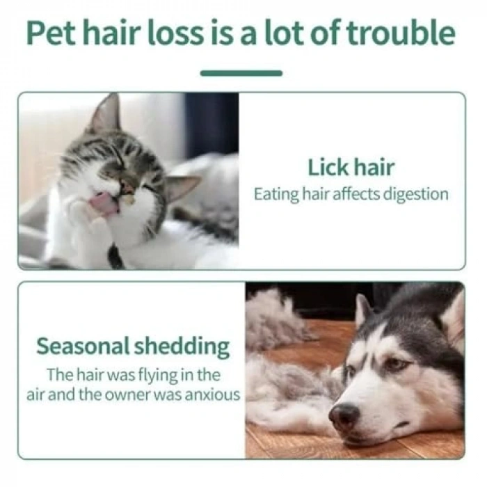 Kısa Metal Dişli Bit Tarağı, Sert Plastik Tutma Saplı