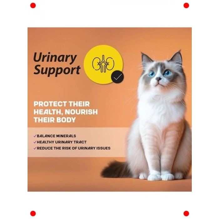 Kısır Kedi Maması Somonlu 1.5kg | İdrar Yolu Destekli