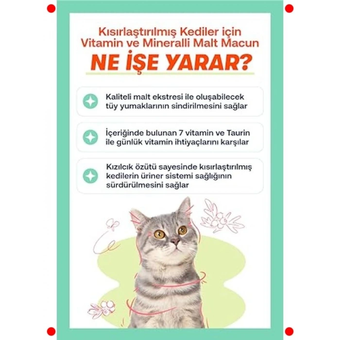 Kısır Kedi Multivitamin & Sterile Macun 100g