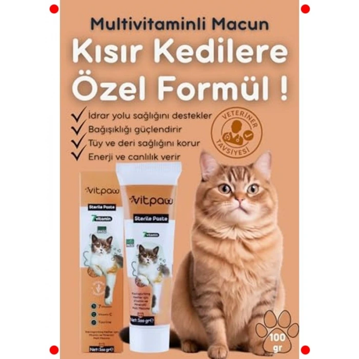Kısırlaştırılmış Kediler İçin Multivitaminli Malt Macun (100 gr)