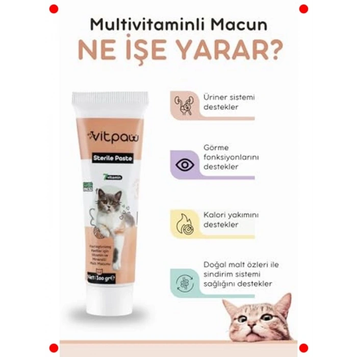Kısırlaştırılmış Kediler İçin Multivitaminli Malt Macun (100 gr)