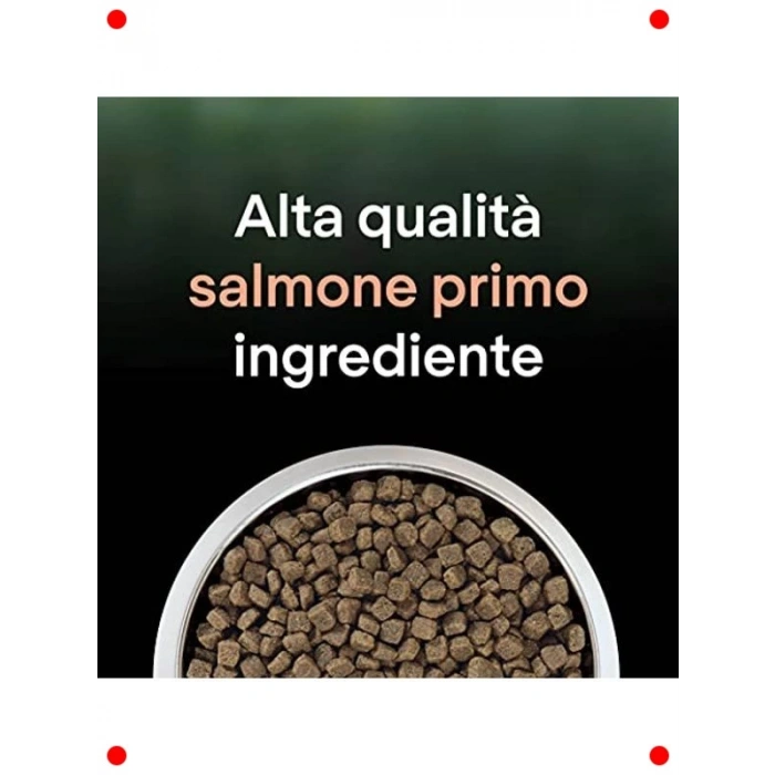 Kısırlaştırılmış Kediler İçin Somonlu Özel Mama 1.4 Kg