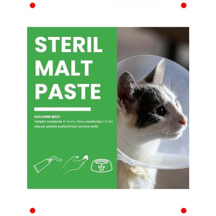 Kısırlaştırılmış Kediler İçin Vitamin Macunu 100g