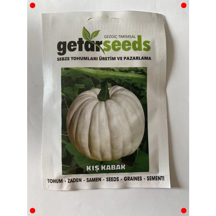 Kışlık Saklama Kabağı Tohumu - Uzun Süre Taze Kalır