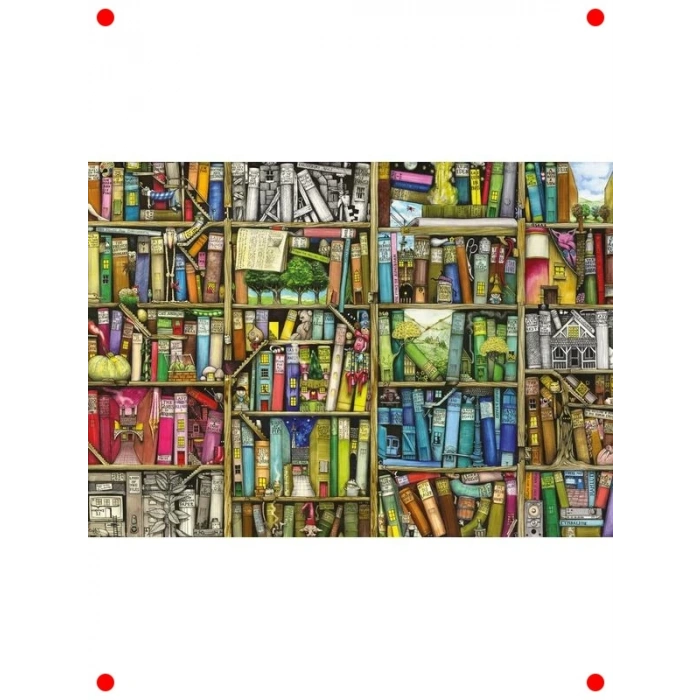 Kitaplık Temalı 1000 Parçalı Yetişkin Yapbozu