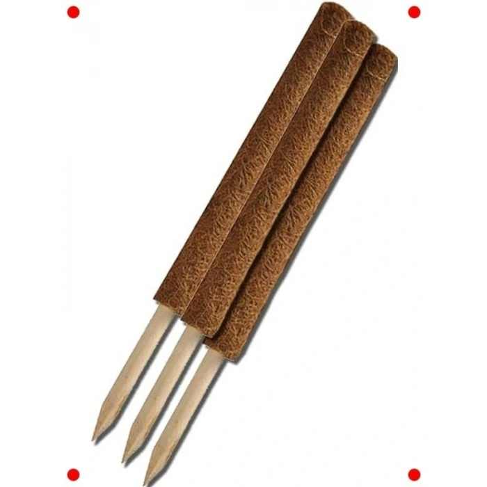 Koko Elyaf Sarmaşık Bitki Destek Çubuğu 80 Cm