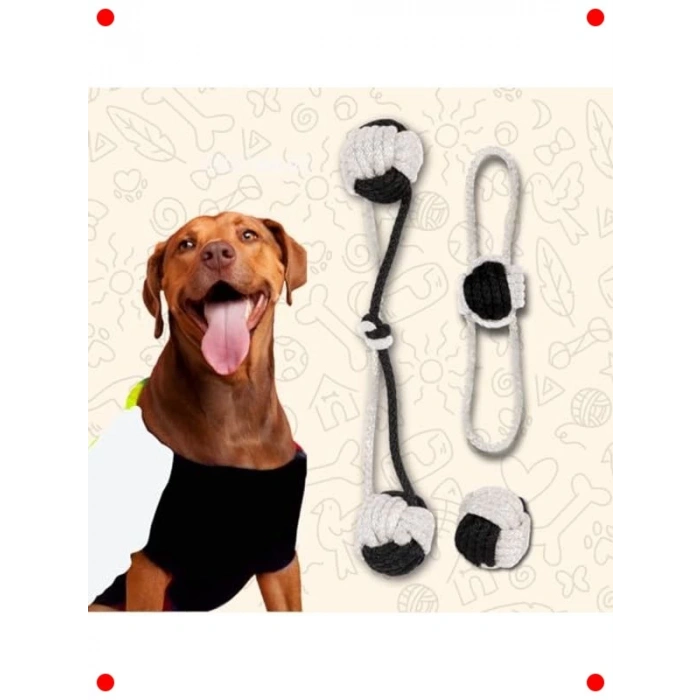 Köpek Diş İpi ve Top Oyuncak Seti (3lü)