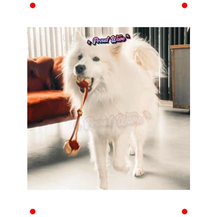 Köpek Diş İpi ve Top Oyuncak Seti (3lü)