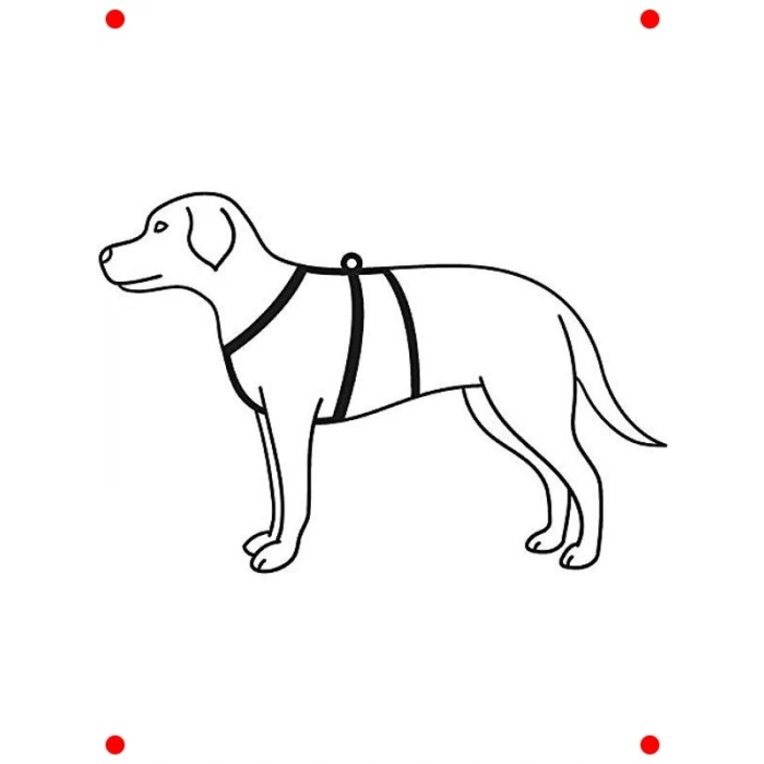 Köpek İçin Kolay Kontrol Göğüs Tasması (M-L)