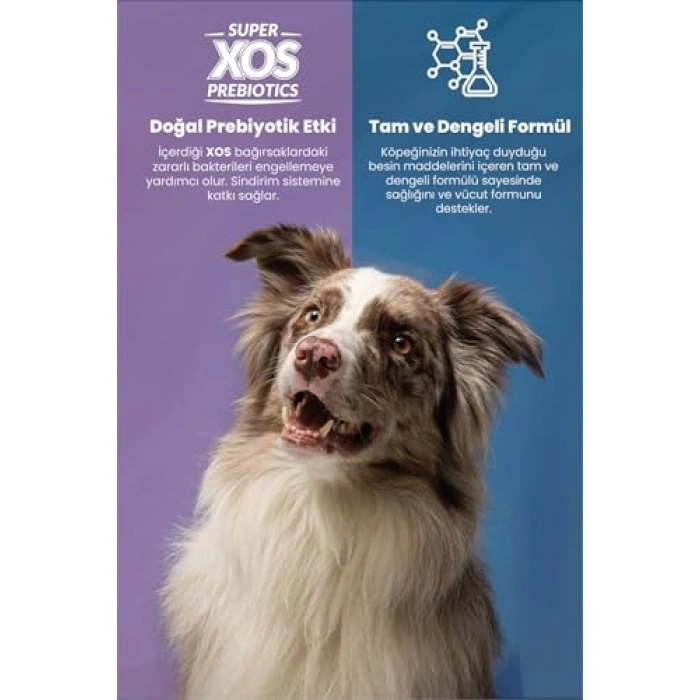 Köpek Maması, Somonlu, 8 kg