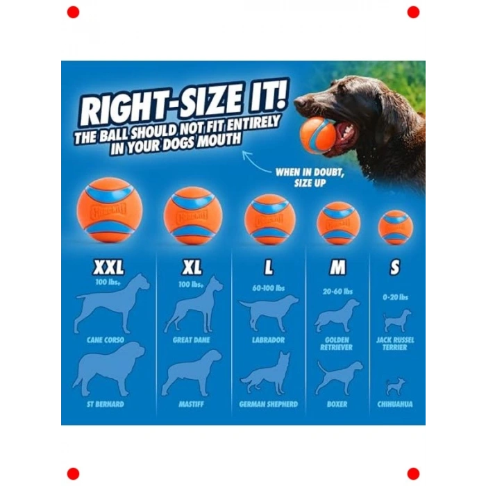 Köpek Top Fırlatıcı & Tenis Topu - 66 cm Uzunluk