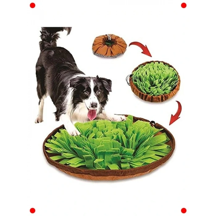 Köpek Yavaş Besleme ve Bulmaca Matı - Yeşil