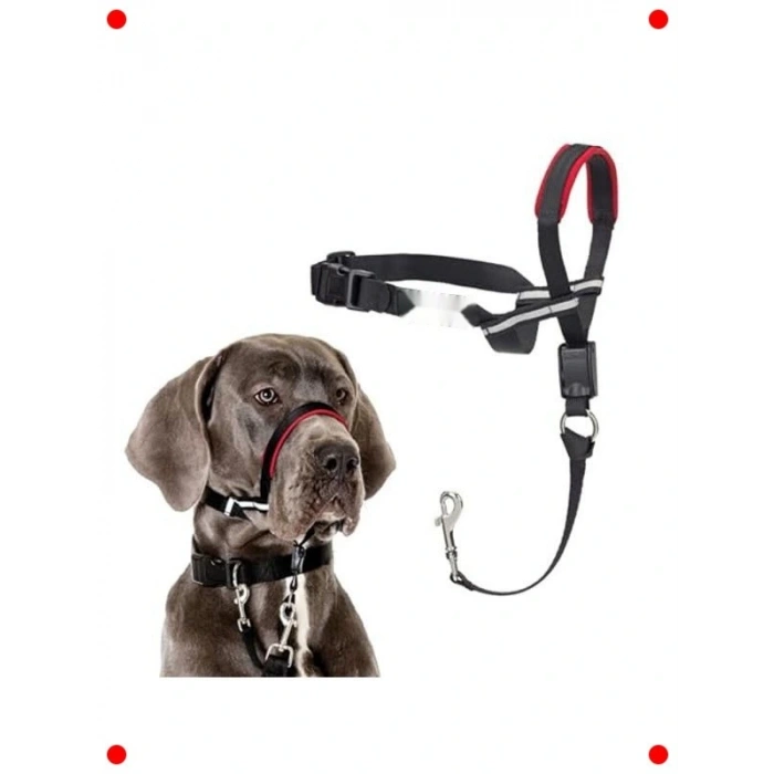Köpekler İçin Ayarlanabilir Çekme Durduran Baş Yaka