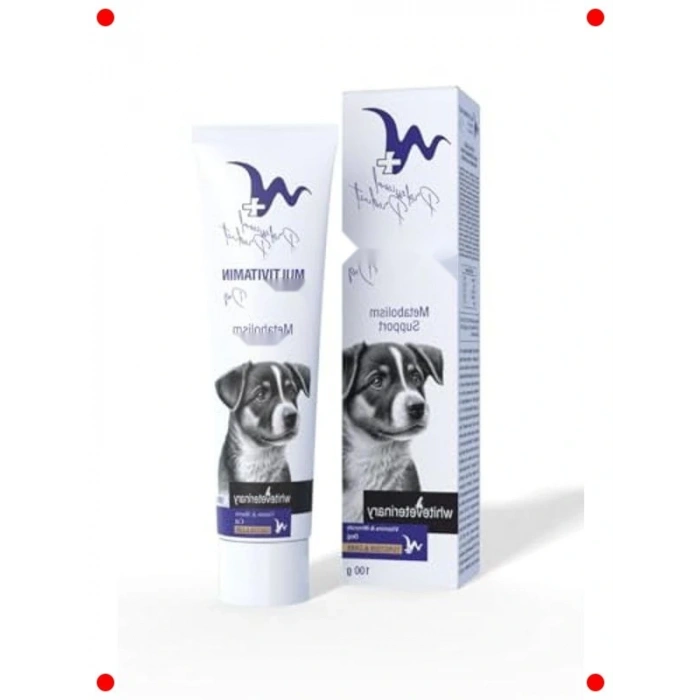 Köpekler İçin Kapsamlı Multivitamin Macunu - 100g