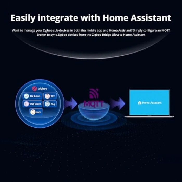 Köprüsü Ultra (1)