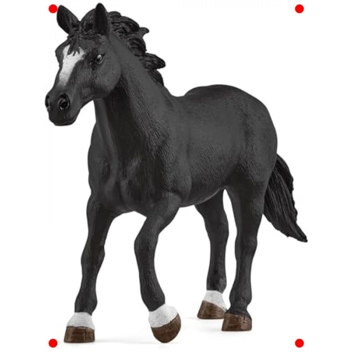 Kovboy Kız ve At Yarışı Oyun Seti