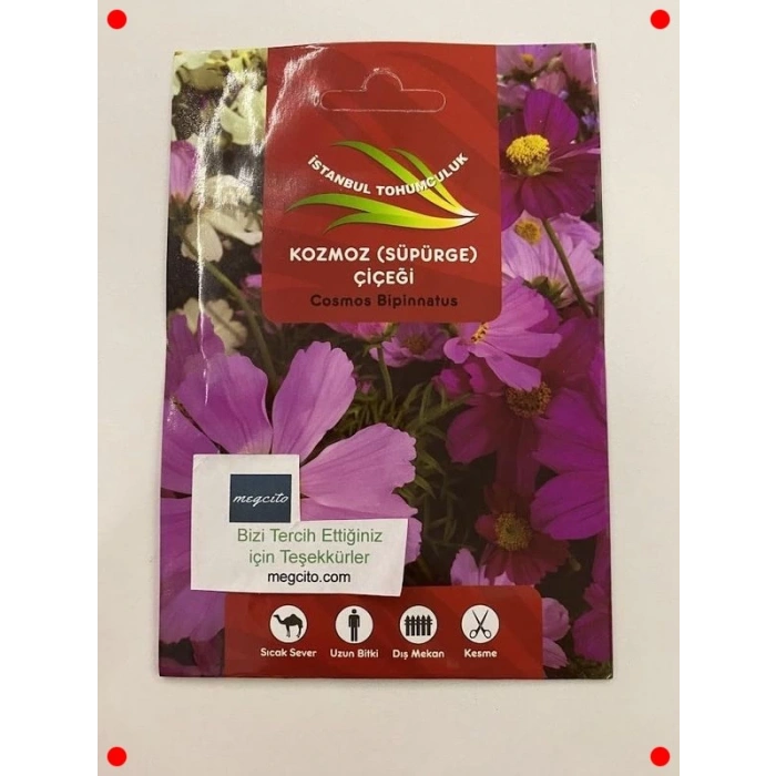 Kozmoz Çiçeği Karışık Renk Çoklu Tohum (50 Adet)