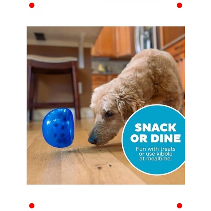 Küçük Boy Mavi İnteraktif Köpek Oyuncak Topu