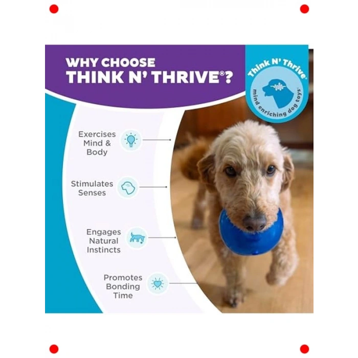 Küçük Boy Mavi İnteraktif Köpek Oyuncak Topu