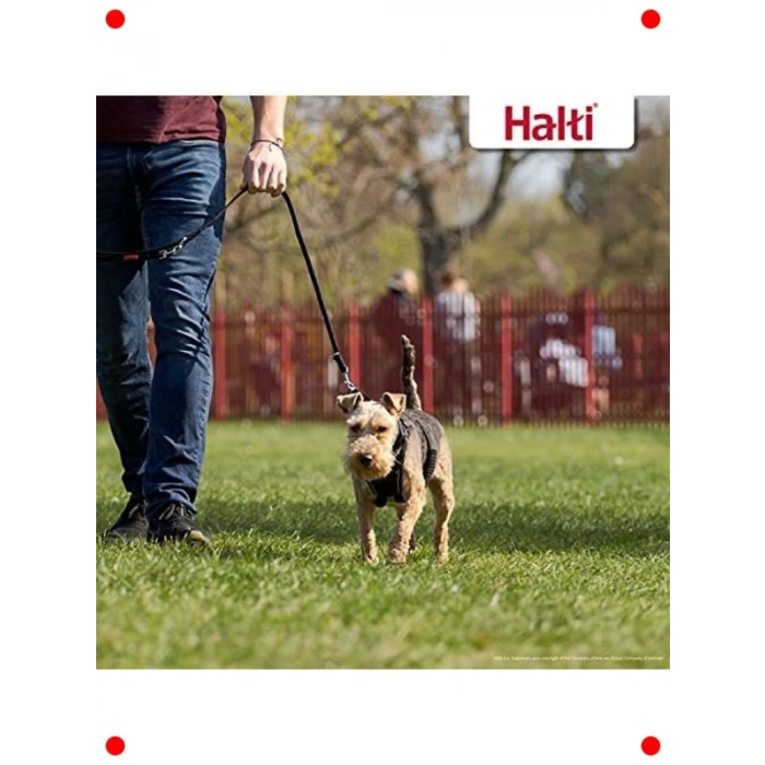 Küçük Irk Köpekler İçin Çekme Önleyici Göğüs Tasması