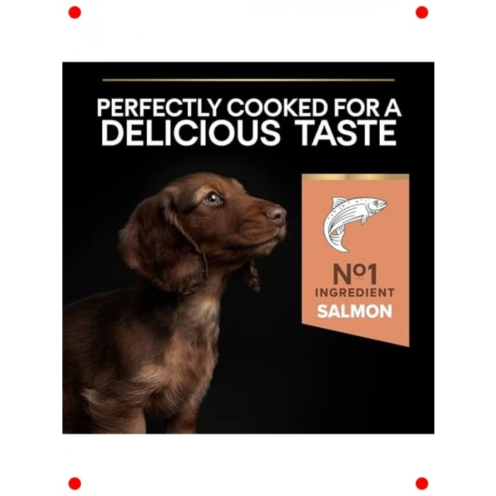 Küçük Irk Yetişkin Somonlu Köpek Maması, 3 kg