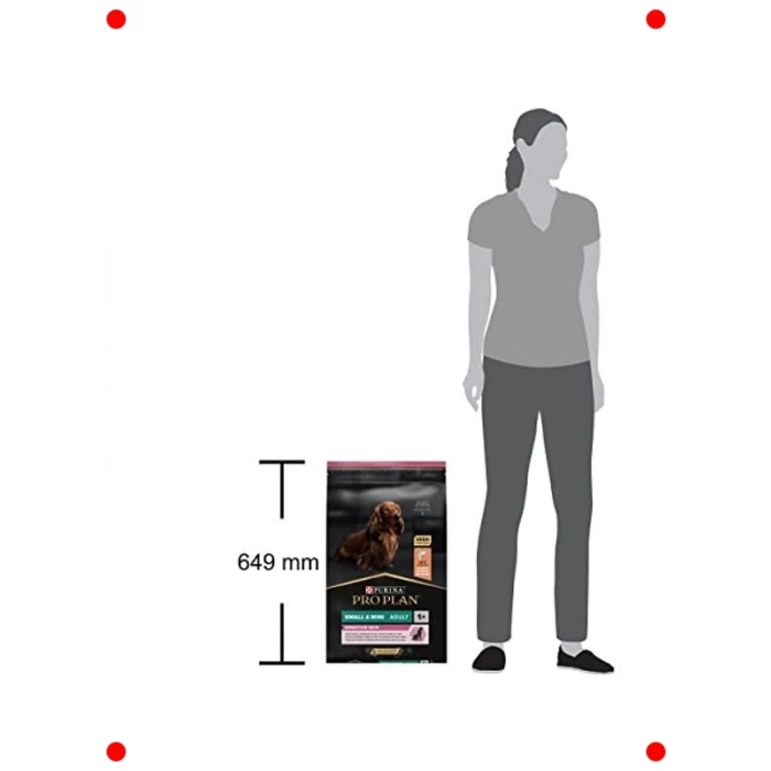 Küçük Irk Yetişkin Somonlu Köpek Maması, 7kg