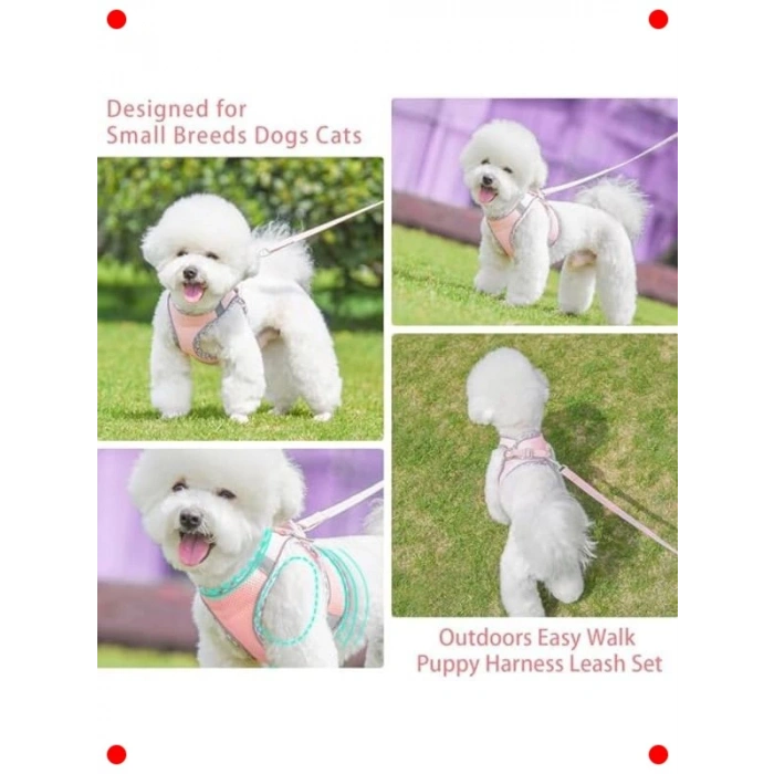 Küçük Köpek Koşum Tasma Seti - Çekme Önleyici & Yansıtıcı (Pembe)