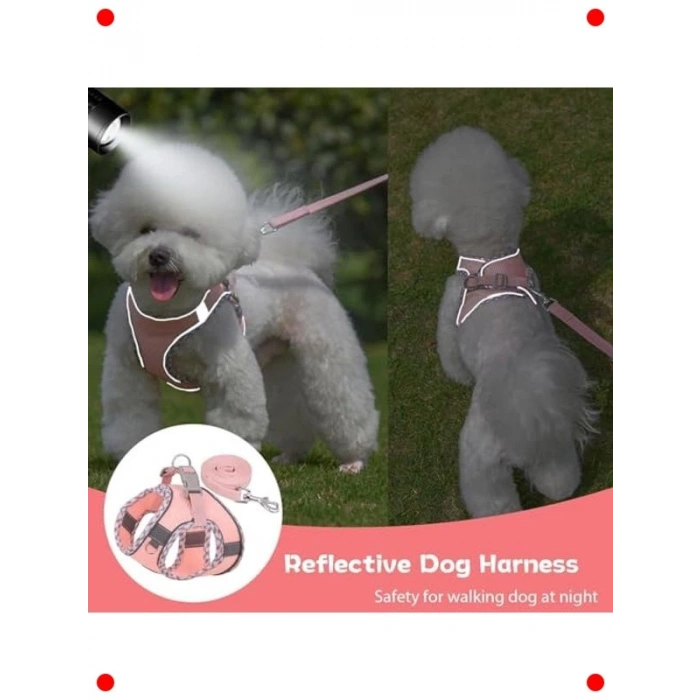 Küçük Köpek Koşum Tasma Seti - Çekme Önleyici & Yansıtıcı (Pembe)